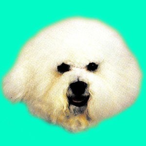 mascotboy 的头像