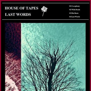 Last Words