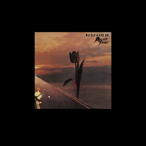 Parachute (Deluxe)