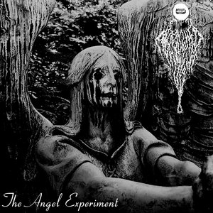 The Angel Experiment