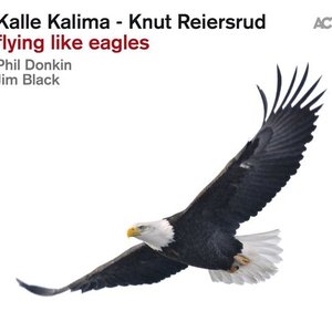 Flying Like Eagles