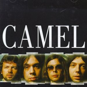 Master Series: Camel