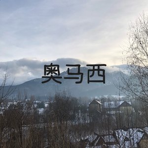 0macy 的头像