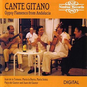 Image for 'Cante Gitano - Gypsy Flamenco Recorded Live In Andalucia'