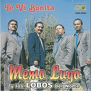 Te Vi Bonita