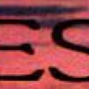 “Nesh (BG)”的封面