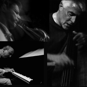 Snekkestad/Fernández/Guy 的头像