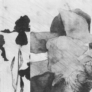 Z. Zsigo & T. Wasluck 的头像