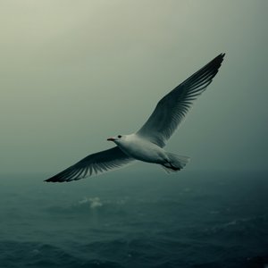 Avatar for Sick Basement