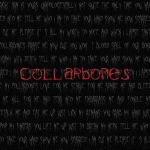 collarbones