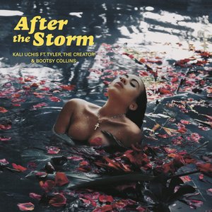 Image for 'After The Storm (feat. Tyler, The Creator & Bootsy Collins)'