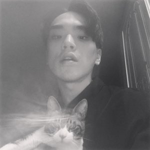 Avatar for #punchnello