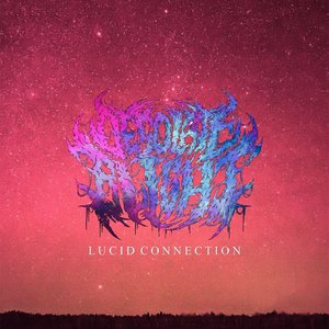 Lucid Connection