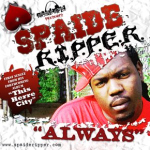 Spaide Ripper 的头像