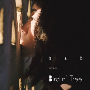 Bird n' Tree - Single