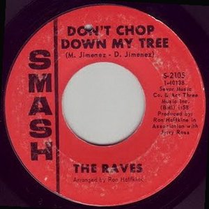 Raves 的头像