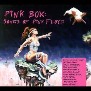 Pink Box Songs Of Pink Floyd