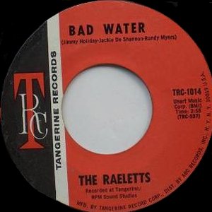 The Raeletts 的头像