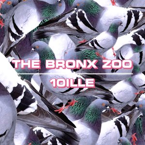 The Bronx Zoo