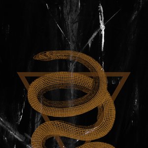 In Serpents And Seas 的头像