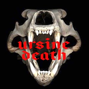Avatar for Ursine Death