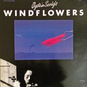 Windflowers