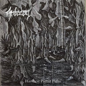 Harshest Purest Paths
