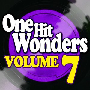 One Hit Wonders - Vol. 7