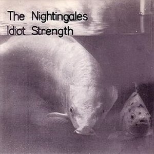 Idiot Strength