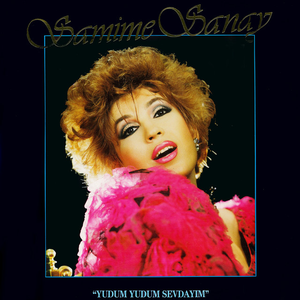 Artwork for Seni Hissederim
