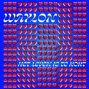 Het Leven Is Te Kort - Single