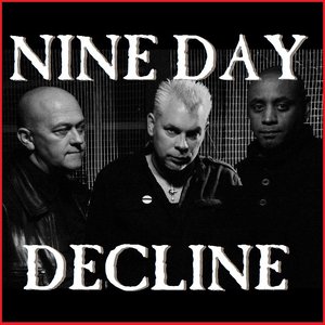 Nine Day Decline 的头像
