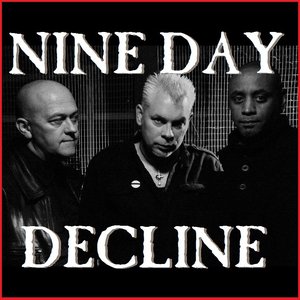 Avatar for Nine Day Decline