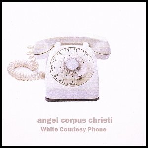 White Courtesy Phone