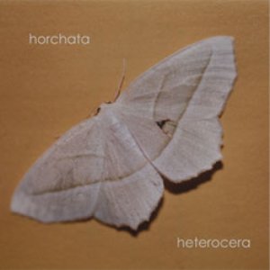 Heterocera