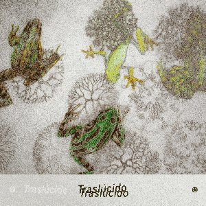 Traslúcido