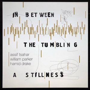 In Between the Tumbling a Stillness