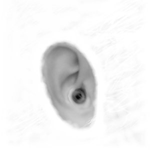 Avatar für to whom it may concern