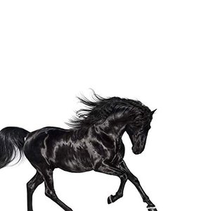 Bild för 'Old Town Road'