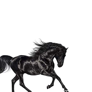Lil Nas X