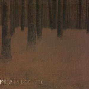 Image for 'Puzzled'