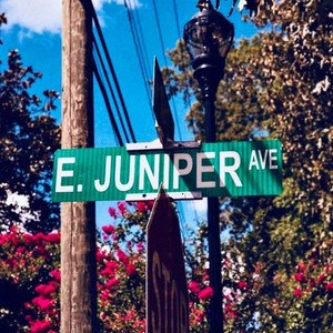 Juniper Avenue [Explicit]