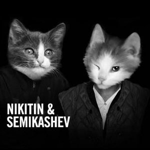 Nikitin & Semikashev 的头像