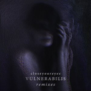 vulnerabilis (remixes)