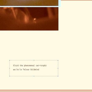 as/in/is Velour Goldmind