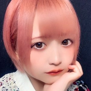 コアラ 的头像
