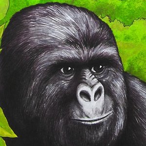 Gorilla Brutality のアバター