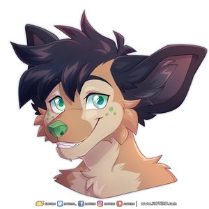 Muffin Fox 的头像