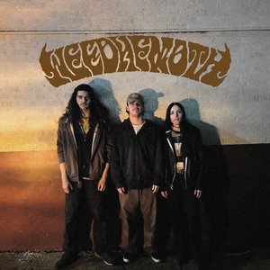 Weedhemoth 的头像