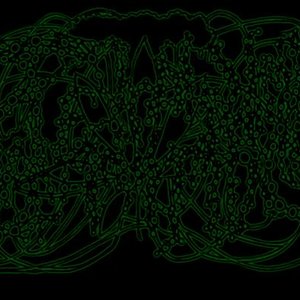 Image for 'TETRAHYDROCANNIBINOL'